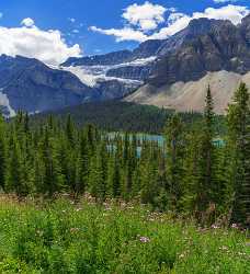 Icefields Parkway Lake Louise Alberta Canada Panoramic Landscape Town Fine Art Fotografie Tree - 016869 - 18-08-2015 - 7719x8458 Pixel Icefields Parkway Lake Louise Alberta Canada Panoramic Landscape Town Fine Art Fotografie Tree Images Fine Arts Photo Royalty Free Stock Images Animal Stock...