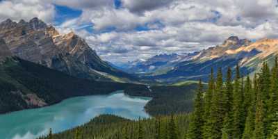 Peyto Lake Louise Alberta Canada Panoramic Landscape Photography Grass Animal Color - 016897 - 18-08-2015 - 15112x6773 Pixel Peyto Lake Louise Alberta Canada Panoramic Landscape Photography Grass Animal Color Fine Art America City Spring Creek Fine Art Printing Stock Pictures Image...