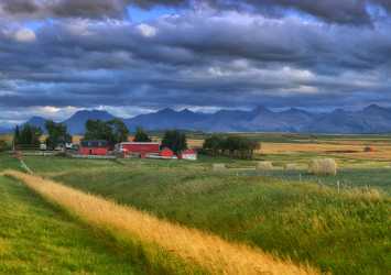 Farmland Pincher Creek Alberta Canada Panoramic Landscape Photography Fog Country Road - 017225 - 31-08-2015 - 11166x7868 Pixel Farmland Pincher Creek Alberta Canada Panoramic Landscape Photography Fog Country Road Photography Prints For Sale Flower Shore Park Fine Art Photography...