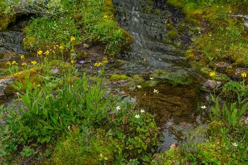 Creek Creek - Panoramic - Landscape - Photography - Photo - Print - Nature - Stock Photos - Images - Fine Art Prints - Sale -...