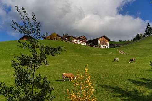 Farmhouse Farmhouse - Panorama - Landschaft - Natur - Foto - Kampanien - Panoramic - Landscape - Photography - Photo - Print -...