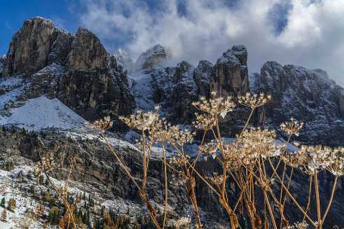 Snow Plant Snow Plant - Panorama - Landschaft - Natur - Foto - Kampanien - Panoramic - Landscape - Photography - Photo - Print -...