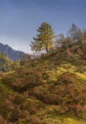 Passo Fedaia Autumn Tree Color Dolomites Panorama Viepoint Fine Art Photography Prints For Sale - 024197 - 18-10-2016 - 7235x10423 Pixel Passo Fedaia Autumn Tree Color Dolomites Panorama Viepoint Fine Art Photography Prints For Sale Beach Art Prints For Sale Fine Art Photography Prints For Sale...