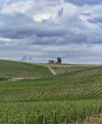 Castellina In Chianti Tuscany Winery Panoramic Viepoint Lookout Fine Art Photography Gallery - 022807 - 15-09-2017 - 7891x9512 Pixel Castellina In Chianti Tuscany Winery Panoramic Viepoint Lookout Fine Art Photography Gallery Fine Art Prints Art Printing Photography Prints For Sale Fine Art...