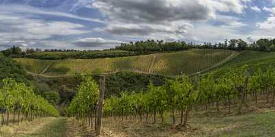 Montefalconi Tuscany Winery Panoramic Viepoint Lookout Hill Autumn Tree Country Road - 022773 - 16-09-2017 - 23472x11176 Pixel Montefalconi Tuscany Winery Panoramic Viepoint Lookout Hill Autumn Tree Country Road Fine Art Prints Stock Pictures Photography Rain Fine Art Photos Fine Art...