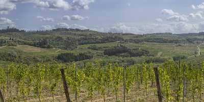 Montespertoli Tuscany Winery Panoramic Viepoint Lookout Hill Autumn Stock Images - 022764 - 12-09-2017 - 35898x7730 Pixel Montespertoli Tuscany Winery Panoramic Viepoint Lookout Hill Autumn Stock Images Art Photography For Sale Shore Stock Photos Fog Park Art Photography Gallery...