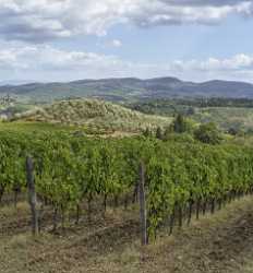 San Donato A Livizzano Tuscany Winery Panoramic Viepoint Stock Pictures Image Stock Country Road - 022878 - 12-09-2017 - 7739x8337 Pixel San Donato A Livizzano Tuscany Winery Panoramic Viepoint Stock Pictures Image Stock Country Road Island Hi Resolution Art Prints Town Famous Fine Art...