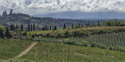 San Gimignano Old Town Tower Tuscany Winery Panoramic Outlook Royalty Free Stock Photos Tree - 022916 - 11-09-2017 - 27770x7638 Pixel San Gimignano Old Town Tower Tuscany Winery Panoramic Outlook Royalty Free Stock Photos Tree Stock Images Fine Art Printing Modern Art Print Leave Barn Stock...