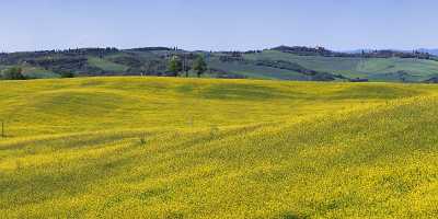 San Quirico Orcia Hill Huegel Tuscany Italy Toscana Park Order Country Road Senic Fine Art Foto - 013033 - 17-05-2012 - 10809x4088 Pixel San Quirico Orcia Hill Huegel Tuscany Italy Toscana Park Order Country Road Senic Fine Art Foto Panoramic Fine Art Photographers Fine Art Pictures Art Prints...