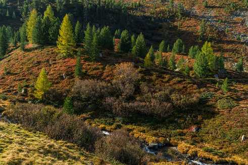 Autumn colors Autumn Colors - Panoramic - Landscape - Photography - Photo - Print - Nature - Stock Photos - Images - Fine Art Prints -...