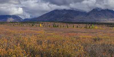 Cantwell George Parks Hwy Viewpoint Alaska Panoramic Landscape Fine Art Posters Sunshine - 020095 - 06-09-2016 - 23198x7457 Pixel Cantwell George Parks Hwy Viewpoint Alaska Panoramic Landscape Fine Art Posters Sunshine Fine Art Photography Prints For Sale Art Photography For Sale Color...