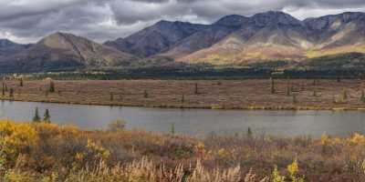 Cantwell George Parks Hwy Viewpoint Alaska Panoramic Landscape Park Grass Stock Image Country Road - 020176 - 06-09-2016 - 18432x7756 Pixel Cantwell George Parks Hwy Viewpoint Alaska Panoramic Landscape Park Grass Stock Image Country Road Photo Fine Art Fine Art Prints For Sale Fine Art Tree Sale...