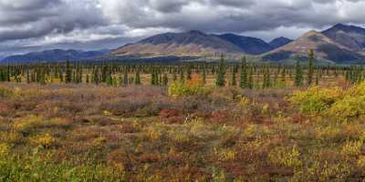 Cantwell George Parks Hwy Viewpoint Alaska Panoramic Landscape Fine Art America Photo Flower Town - 020233 - 06-09-2016 - 16772x7676 Pixel Cantwell George Parks Hwy Viewpoint Alaska Panoramic Landscape Fine Art America Photo Flower Town Tree Modern Art Prints Island Stock Image Lake What Is Fine...