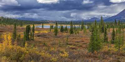 Cantwell George Parks Hwy Viewpoint Alaska Panoramic Landscape Sky Fine Art Print - 020255 - 06-09-2016 - 16113x7701 Pixel Cantwell George Parks Hwy Viewpoint Alaska Panoramic Landscape Sky Fine Art Print Fine Art Photography Gallery Stock Images Art Prints Town Fine Art Photos...