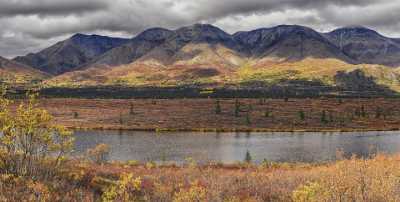 Cantwell George Parks Hwy Viewpoint Alaska Panoramic Landscape Art Photography Gallery - 020277 - 06-09-2016 - 15406x7797 Pixel Cantwell George Parks Hwy Viewpoint Alaska Panoramic Landscape Art Photography Gallery Fine Art Prints For Sale Fine Art Landscape Photography Forest Fog Flower...