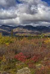 Cantwell George Parks Hwy Viewpoint Alaska Panoramic Landscape Nature Park Fine Art - 020344 - 06-09-2016 - 7462x13739 Pixel Cantwell George Parks Hwy Viewpoint Alaska Panoramic Landscape Nature Park Fine Art Fine Art Fotografie Summer Coast Fine Art Landscape Cloud Fine Art Nature...