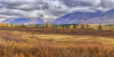 Cantwell George Parks Hwy Viewpoint Alaska Panoramic Landscape Fine Art Nature Photography Senic - 020392 - 06-09-2016 - 14165x6286 Pixel Cantwell George Parks Hwy Viewpoint Alaska Panoramic Landscape Fine Art Nature Photography Senic Fine Art Photography City Fine Art Photographer Fine Art...