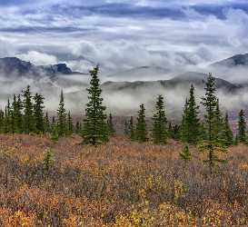 Denali National Park Savage River Viewpoint Alaska Panoramic Mountain Art Photography For Sale City - 020007 - 07-09-2016 - 7636x6998 Pixel Denali National Park Savage River Viewpoint Alaska Panoramic Mountain Art Photography For Sale City Fine Art Photographer Fine Art Photos Color Fine Art Giclee...