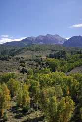 Paonia Mcclure Pass Mount Sopris Colorado Landscape Autumn Tree Modern Wall Art Stock Country Road - 007317 - 13-09-2010 - 4233x7290 Pixel Paonia Mcclure Pass Mount Sopris Colorado Landscape Autumn Tree Modern Wall Art Stock Country Road Fine Art Landscape Landscape Photography Fine Art View Point...