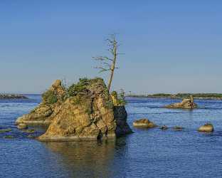 Barview Art Photography Gallery Oregon Rock Pine Pacific Coast Ocean Fine Art Photo Photo Island - 022620 - 27-10-2017 - 12362x9912 Pixel Barview Art Photography Gallery Oregon Rock Pine Pacific Coast Ocean Fine Art Photo Photo Island Fine Arts Fine Art Photography Prints Photography Prints For...