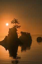 Lincoln City Oregon Sunset Rock Pine Pacific Fine Art Pictures Modern Wall Art Fog - 022624 - 26-10-2017 - 7781x12595 Pixel Lincoln City Oregon Sunset Rock Pine Pacific Fine Art Pictures Modern Wall Art Fog Fine Art Photography Galleries Forest Lake Sky Fine Art Photography Gallery...