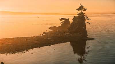 Lincoln City Hi Resolution Oregon Sunset Rock Pine Pacific Fine Arts View Point Shore - 022631 - 26-10-2017 - 14233x7954 Pixel Lincoln City Hi Resolution Oregon Sunset Rock Pine Pacific Fine Arts View Point Shore Fine Art Photography Galleries Stock Pictures Royalty Free Stock Photos...