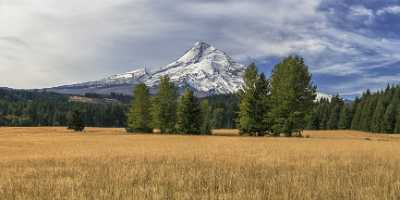 Parkdale Mount Hood National Forest Oregon Grass Snow Royalty Free Stock Images Fine Arts Landscape - 022386 - 06-10-2017 - 17193x7760 Pixel Parkdale Mount Hood National Forest Oregon Grass Snow Royalty Free Stock Images Fine Arts Landscape Fine Art America Ice Fine Art Landscape Stock Photos Fine...