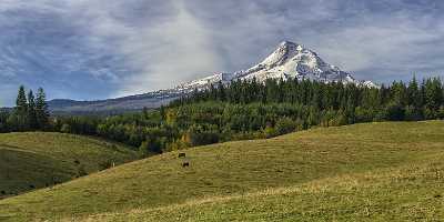 Parkdale Mount Hood National Forest Oregon Orchard Snow Fine Art Royalty Free Stock Photos - 022398 - 06-10-2017 - 19414x7882 Pixel Parkdale Mount Hood National Forest Oregon Orchard Snow Fine Art Royalty Free Stock Photos Image Stock Fine Art Prints Fog Fine Art Photography Galleries Barn...