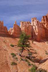 Bryce Canyon National Park Utah Point Peekaboo Stock Images Fine Arts Photography Sale Spring - 008805 - 09-10-2010 - 4193x8998 Pixel Bryce Canyon National Park Utah Point Peekaboo Stock Images Fine Arts Photography Sale Spring Animal Hi Resolution Autumn Stock Pictures Fine Art Prints For...