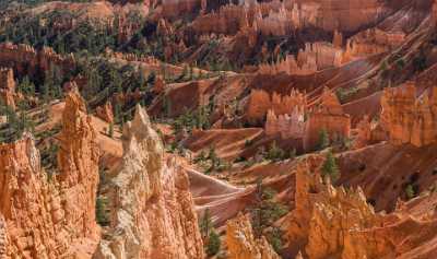 Bryce Canyon Sunrise Point Overlook Trail Utah Autumn Creek View Point Western Art Prints For Sale - 015042 - 01-10-2014 - 11922x7055 Pixel Bryce Canyon Sunrise Point Overlook Trail Utah Autumn Creek View Point Western Art Prints For Sale Fine Art Photographer Animal Tree Stock Image Fine Arts...