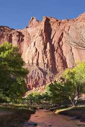 Fruita Capitol Reef National Park Utah Landscape River Sea Country Road Art Photography For Sale - 006879 - 13-10-2010 - 4181x7703 Pixel Fruita Capitol Reef National Park Utah Landscape River Sea Country Road Art Photography For Sale Stock Pictures Panoramic Tree Prints For Sale Fine Art Printing...