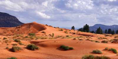 Coral Pink Sand Dunes State Park Kanab Utah Country Road Sea Royalty Free Stock Photos - 008230 - 06-10-2010 - 9340x4078 Pixel Coral Pink Sand Dunes State Park Kanab Utah Country Road Sea Royalty Free Stock Photos Fine Art Posters Fine Art Photography Prints For Sale Forest Rain Photo...
