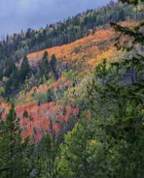 Kamas Utah Autumn Fall Color Colorful Tree Mountain Fine Art Foto Winter Stock Pictures - 015219 - 28-09-2014 - 5701x7054 Pixel Kamas Utah Autumn Fall Color Colorful Tree Mountain Fine Art Foto Winter Stock Pictures What Is Fine Art Photography Barn Rain Fine Art Photos Photography...