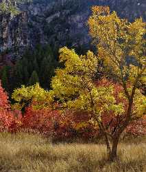 Logan Valley Utah River Tree Autumn Color Colorful Photo Rock Sky Fine Art Fotografie Photography - 011871 - 01-10-2012 - 8709x10204 Pixel Logan Valley Utah River Tree Autumn Color Colorful Photo Rock Sky Fine Art Fotografie Photography Outlook Summer Royalty Free Stock Images Winter Beach Art...