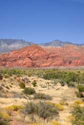 Pine Valley Mountains Silver Reef Utah Red Rock Fine Art Photography Prints For Sale Panoramic - 009510 - 13-10-2011 - 4846x10503 Pixel Pine Valley Mountains Silver Reef Utah Red Rock Fine Art Photography Prints For Sale Panoramic Stock Pictures Famous Fine Art Photographers Fine Art Beach Stock...
