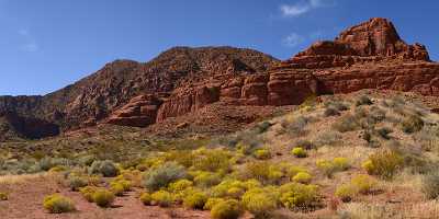 Pine Valley Mountains Silver Reef Utah Red Rock Spring Landscape Photography Fine Art Posters - 009517 - 13-10-2011 - 12656x4898 Pixel Pine Valley Mountains Silver Reef Utah Red Rock Spring Landscape Photography Fine Art Posters Fine Art Fotografie Royalty Free Stock Images Creek Famous Fine...