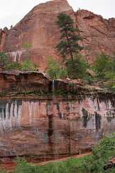 008312_07_10_2010_springdale_zion_national_park_utah_emerald_pool_scenic_canyon_lookout_sky_cloud_panoramic_landscape_photography_panorama_landschaft_34 (2)_4310x7866