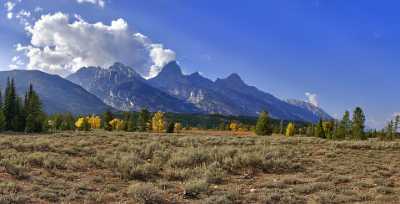 Jackson Hole Grand Teton National Park Wyoming Moose Photo Mountain Autumn Forest Art Printing Barn - 011609 - 27-09-2012 - 11068x5642 Pixel Jackson Hole Grand Teton National Park Wyoming Moose Photo Mountain Autumn Forest Art Printing Barn Cloud Senic View Point Snow Stock Pictures Country Road Tree...