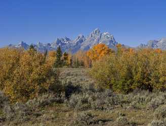 Moose Head Ranch Grand Teton National Park Wyoming Fine Art Giclee Printing Mountain Stock Photos - 015393 - 25-09-2014 - 6992x5329 Pixel Moose Head Ranch Grand Teton National Park Wyoming Fine Art Giclee Printing Mountain Stock Photos Town Art Photography For Sale Color Rain Autumn Images Fine...