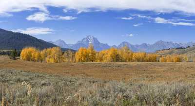 Oxbow Bend Mount Moran Grand Teton Wyoming Tree Fine Art Photography Photography Color Forest - 015435 - 24-09-2014 - 10784x5881 Pixel Oxbow Bend Mount Moran Grand Teton Wyoming Tree Fine Art Photography Photography Color Forest Fine Art Photography Prints For Sale Order Fine Art Photography...