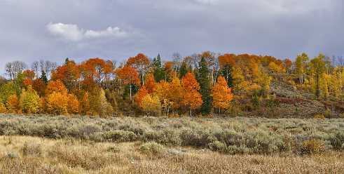 Christian Creek Christian Creek - Grand Teton National Park - Panoramic - Landscape - Photography - Photo - Print - Nature - Stock...