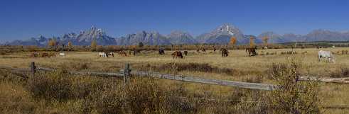 Elk Ranch Flats Elk Ranch Flats - Grand Teton National Park - Panoramic - Landscape - Photography - Photo - Print - Nature - Stock...