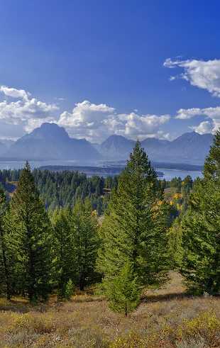 Signal Mountain Signal Mountain - Grand Teton National Park - Panoramic - Landscape - Photography - Photo - Print - Nature - Stock...