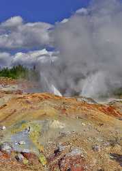 Yellowstone National Park Wyoming Norris Geyser Basin Hot Animal Photo Fine Art - 011815 - 30-09-2012 - 7251x10112 Pixel Yellowstone National Park Wyoming Norris Geyser Basin Hot Animal Photo Fine Art Fine Art Photography Prints For Sale Stock Photos Fine Art Nature Photography...