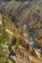 Yellowstone National Park Wyoming Grand Loop Upper Falls Sea Fine Art Landscapes Beach - 011687 - 28-09-2012 - 3719x8949 Pixel Yellowstone National Park Wyoming Grand Loop Upper Falls Sea Fine Art Landscapes Beach Stock Pictures Fine Art Photography Gallery Photo Art Photography Gallery...