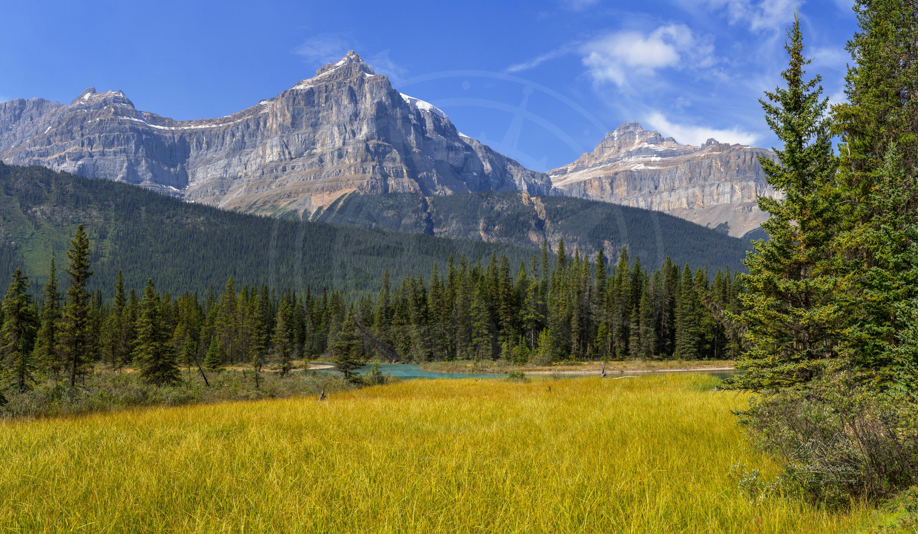Panoramic Summer Landscape along Icefields Parkway, Alberta, Canada